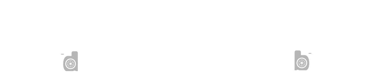 Logo for Dee Van Billiard Photography