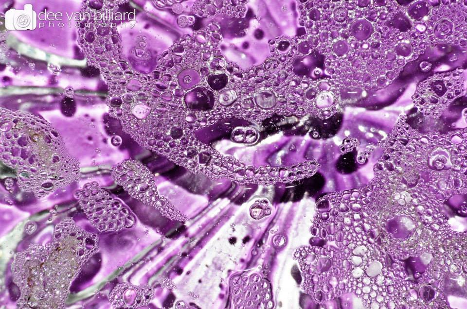 Refraction and bubbles in the water give off dazzling purple patterns.