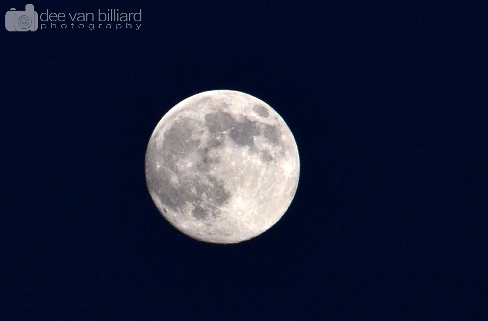 A bright and full moon in the dark of night.